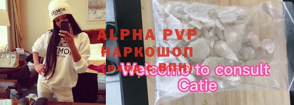 spice Богородск