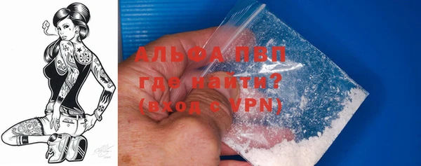 ГАЛЛЮЦИНОГЕННЫЕ ГРИБЫ Богданович