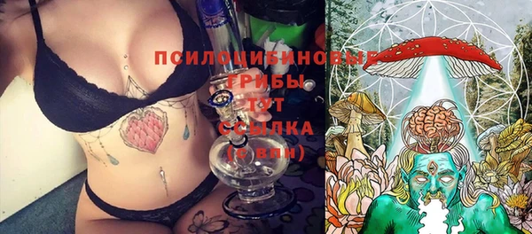 spice Богородск