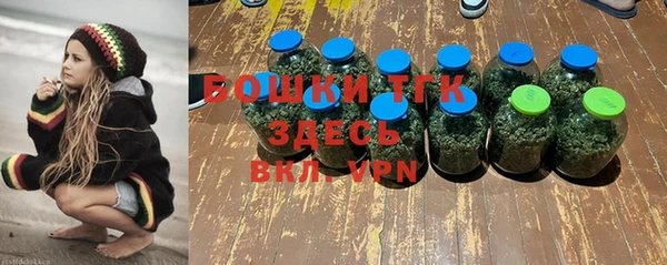 ГАЛЛЮЦИНОГЕННЫЕ ГРИБЫ Богданович