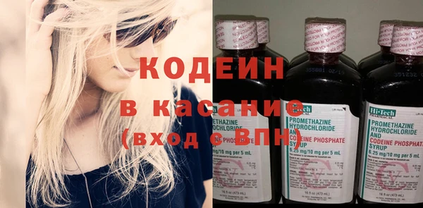 ГАЛЛЮЦИНОГЕННЫЕ ГРИБЫ Богданович