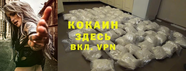 ГАЛЛЮЦИНОГЕННЫЕ ГРИБЫ Богданович