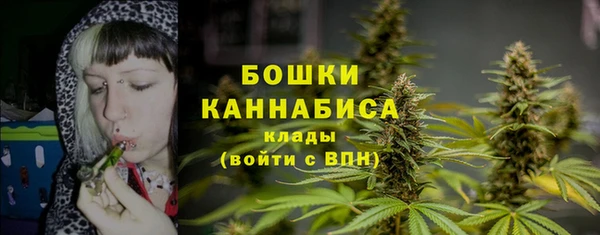 spice Богородск