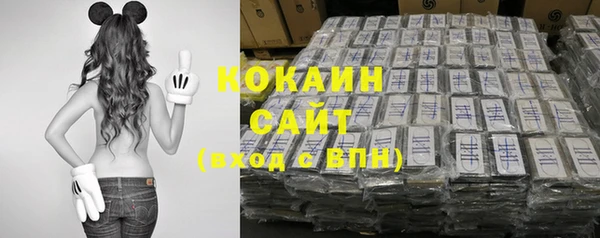 ГАЛЛЮЦИНОГЕННЫЕ ГРИБЫ Богданович