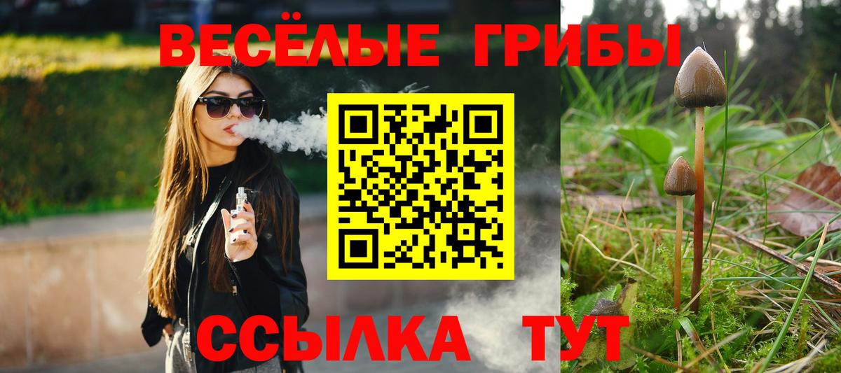 Псилоцибиновые грибы GOLDEN TEACHER  Бузулук 